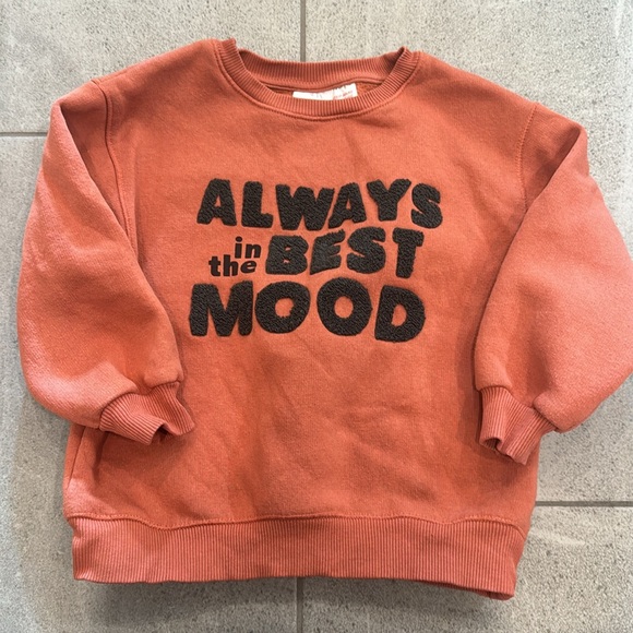 Zara Boys Sweatshirt, Sz 4-5 Years - Picture 2 of 5
